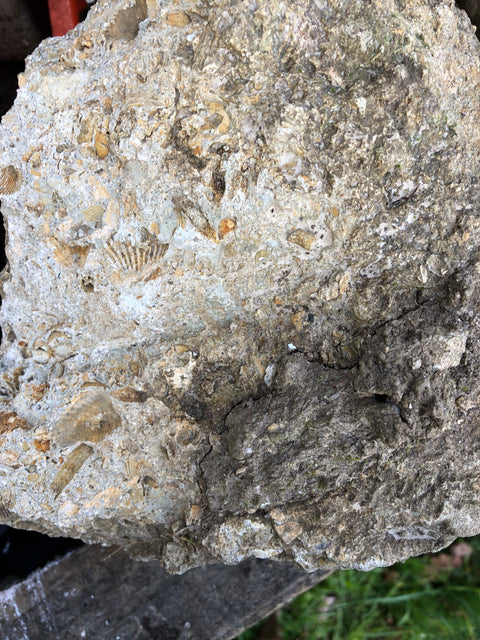 Limestone plateau